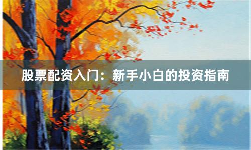 股票配资入门：新手小白的投资指南