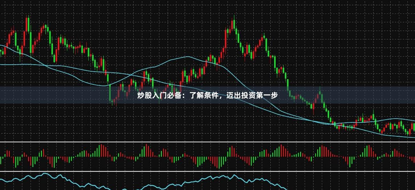 炒股入门必备：了解条件，迈出投资第一步